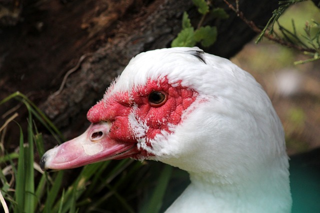 米兰体育·「中国」官方网站-AC MILANSPORTS